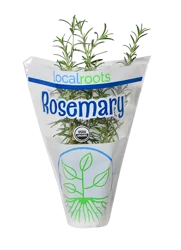 Local Roots Rosemary