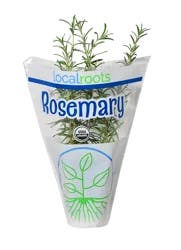 Local Roots Rosemary