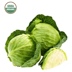 Fresh Organic Cabbage Green