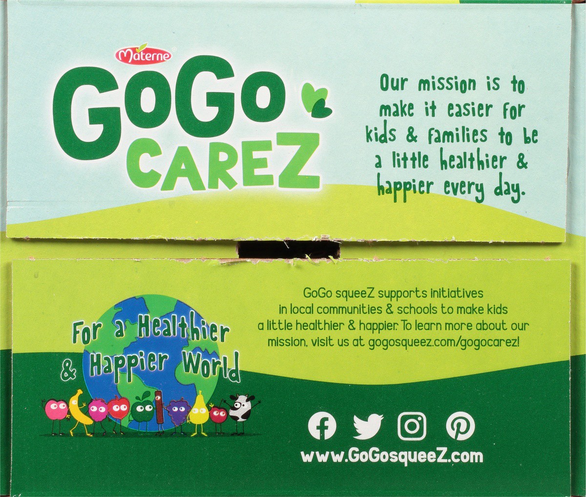 slide 4 of 9, GoGo squeeZ Go Go Squeeze Applesauce Fruit On The Go Applesauce Variety Pack, 20 Count, 64 oz