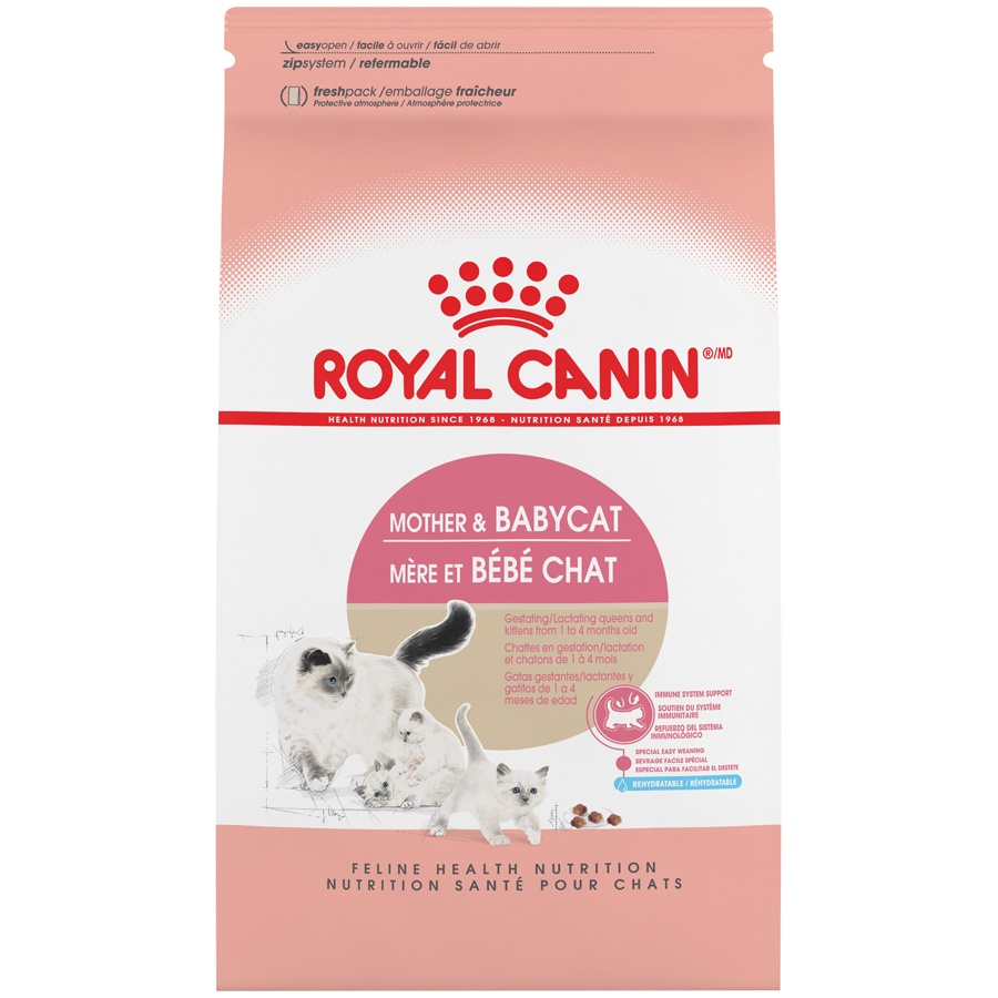 slide 1 of 1, Royal Canin Mother & Babycat Dry Food for Newborn Kittens and Pregnant Or Nursing Cats, 3.5 lb