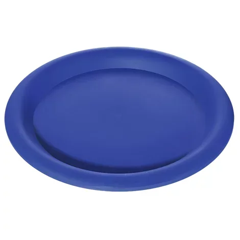 slide 1 of 1, Ssel 10in Plstc Plate Blue - EA, 1 ct