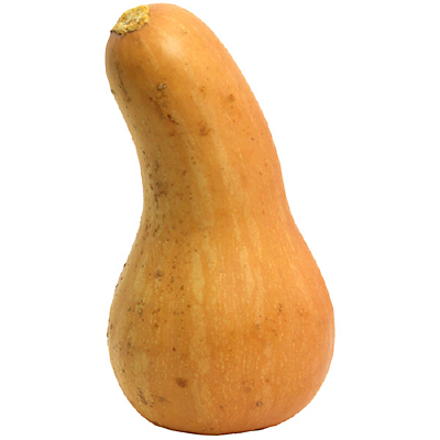 slide 1 of 1, Butternut Squash, 1 ct