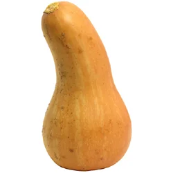 Butternut Squash