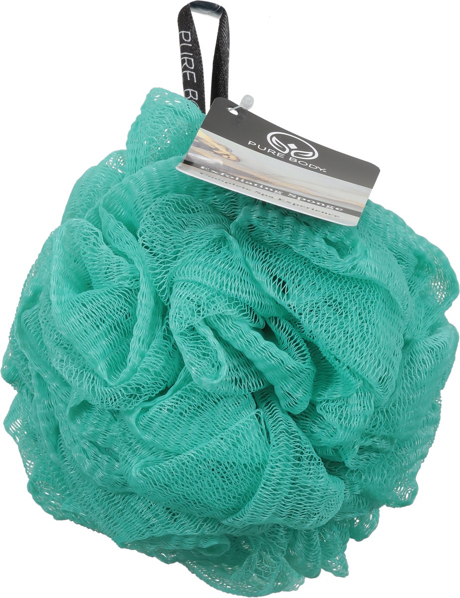 slide 11 of 11, Pure Body Exfoliating Sponge 1 ea, 1 ct