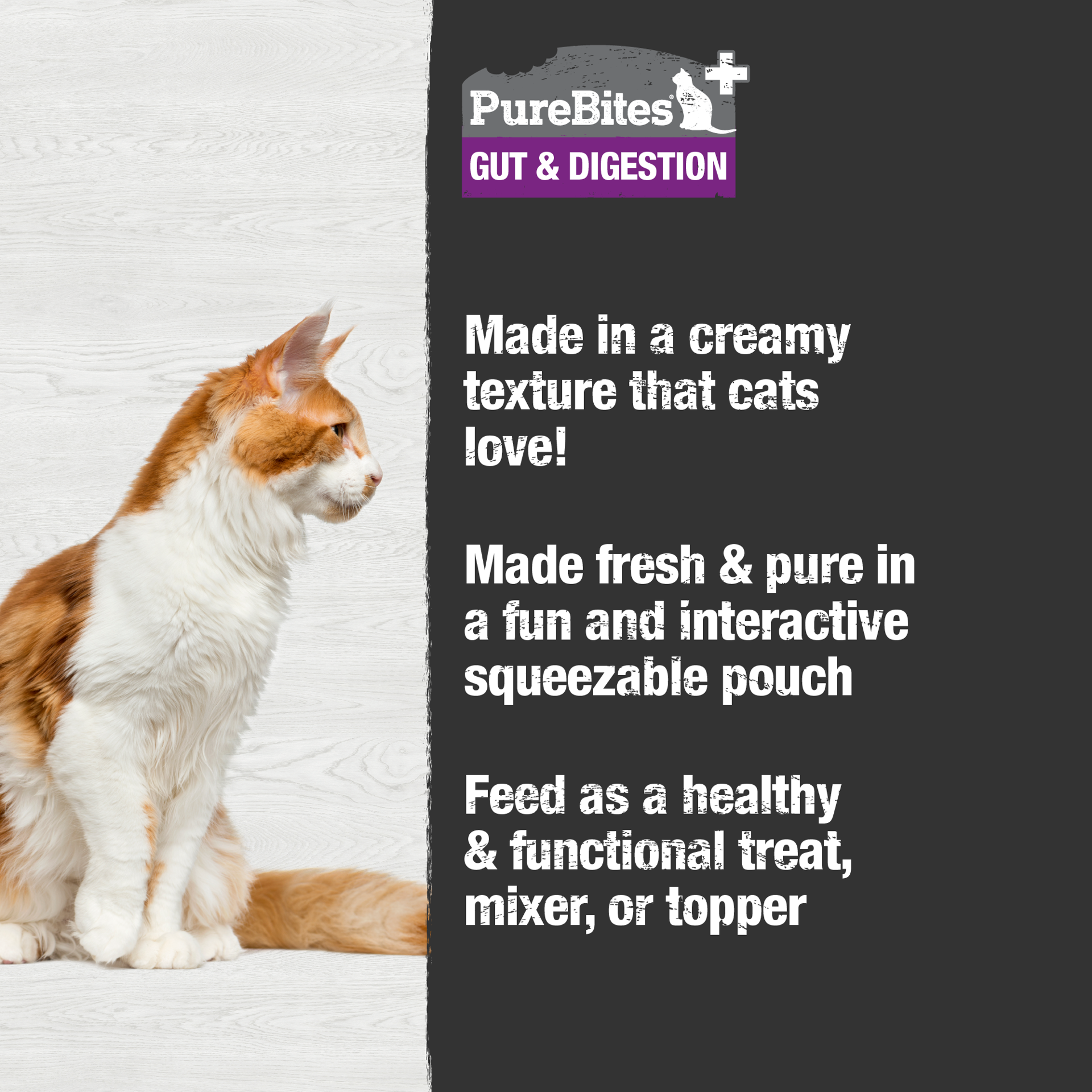 slide 3 of 5, PureBites Plus Squeezables Gut & Digestion Cat Food Topper, 2.5 oz