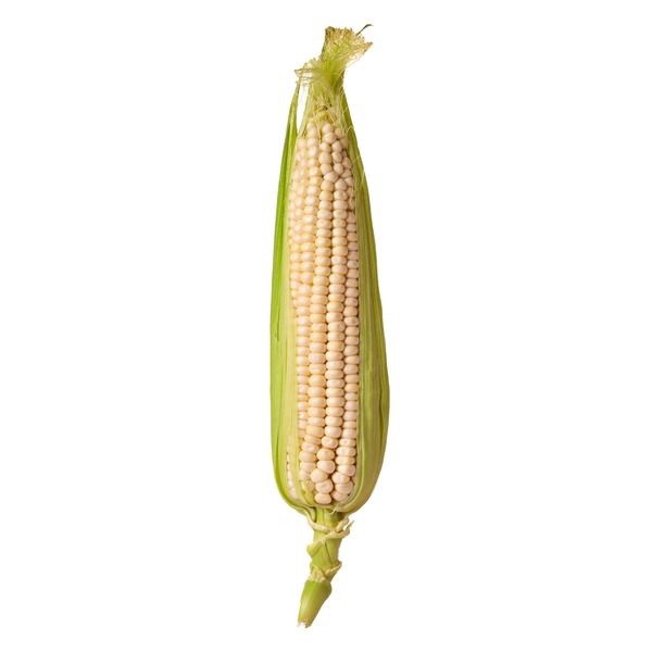 slide 1 of 1, White Corn, 4 ct