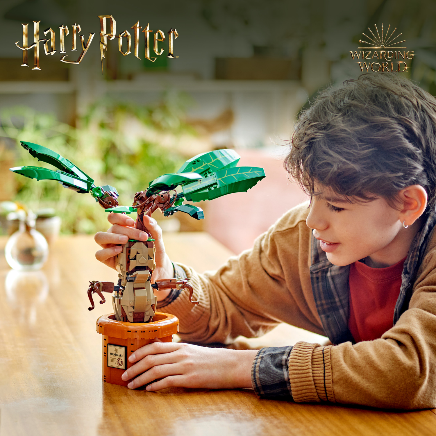 slide 2 of 6, LEGO Harry Potter Mandrake Magical Plant Toy 76433, 1 ct