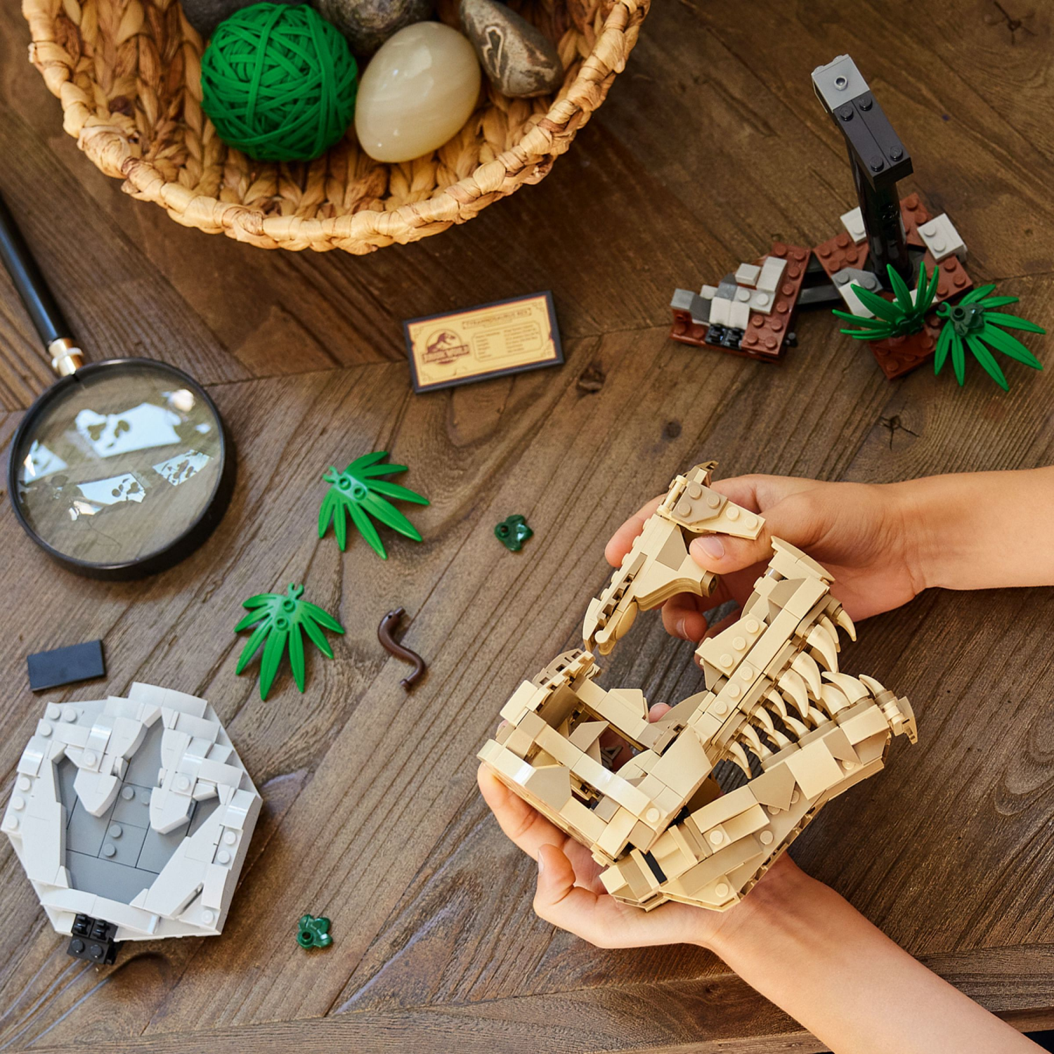 slide 5 of 5, LEGO Jurassic World Dinosaur Fossils: T.rex Skull Set, 1 ct