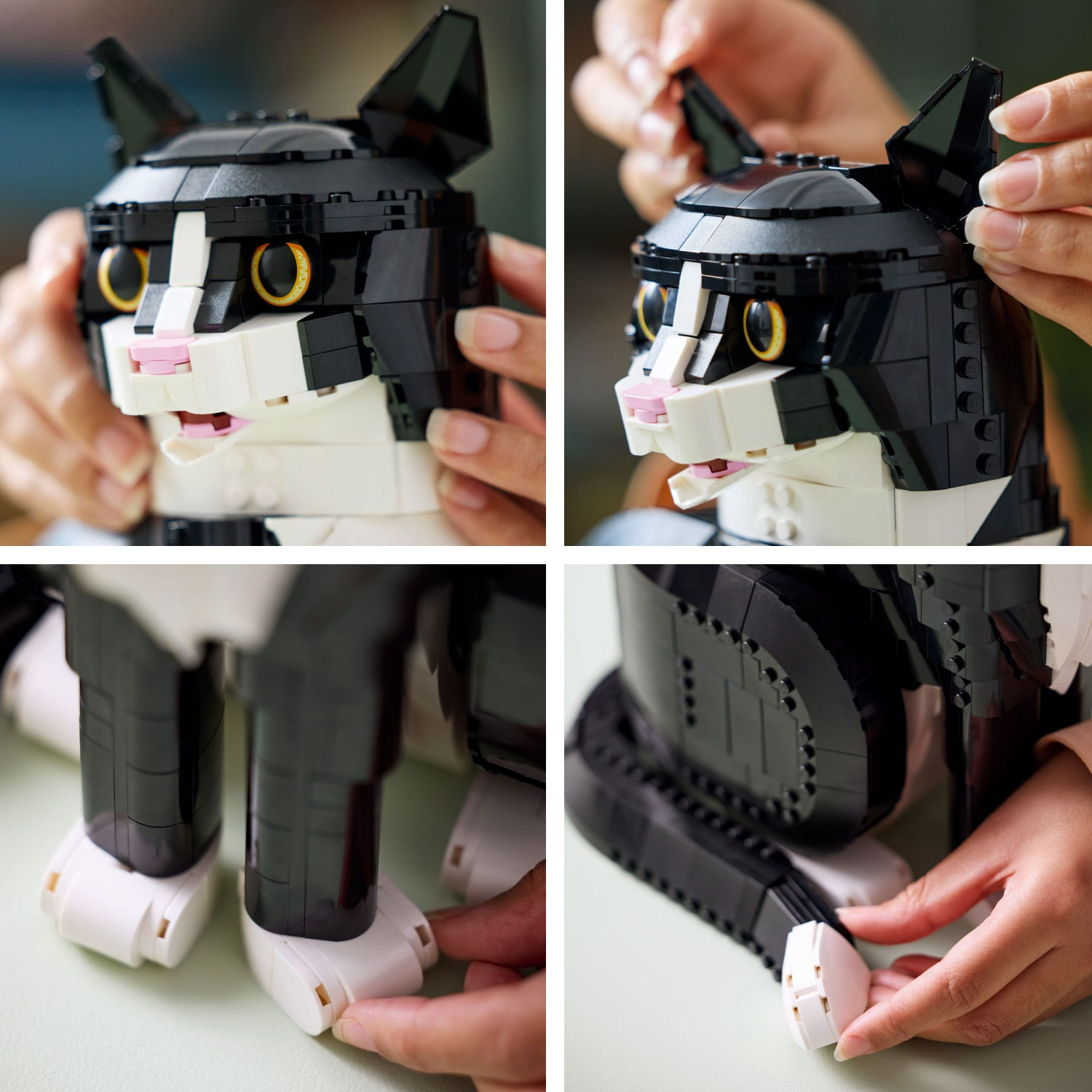 slide 3 of 6, LEGO Ideas Tuxedo Cat 21349, 1 ct