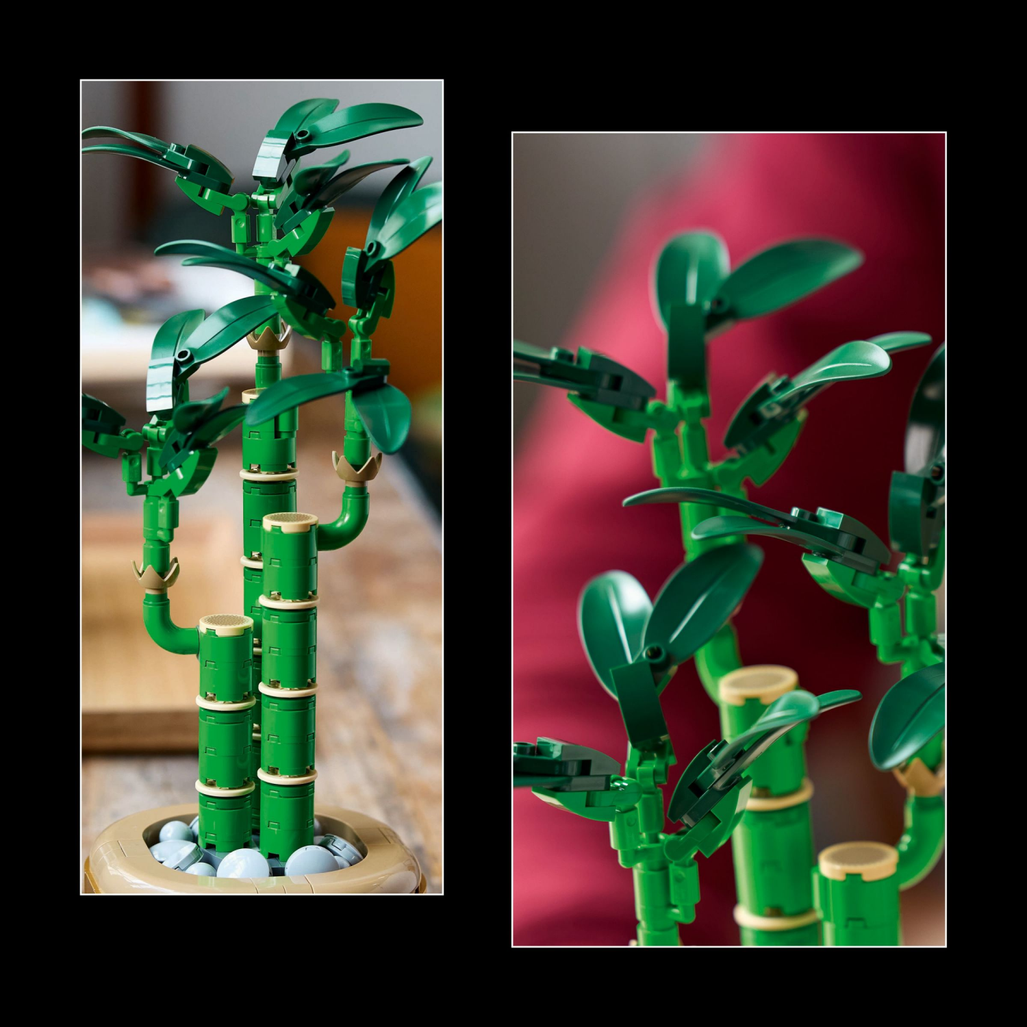 slide 4 of 6, LEGO Botanicals Lucky Bamboo Building Set for Adults 10344, 1 ct