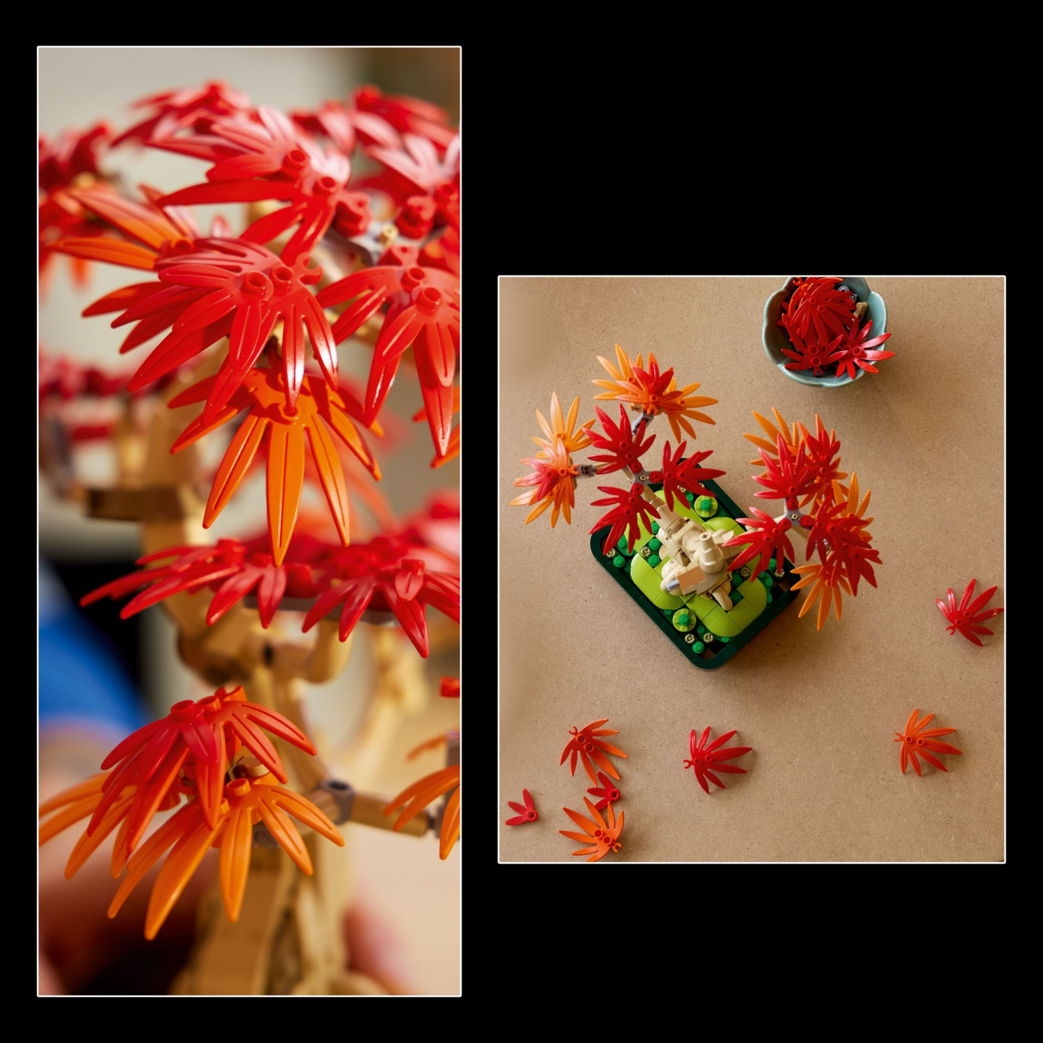 slide 4 of 6, LEGO Botanicals Japanese Red Maple Bonsai Tree 10348, 1 ct
