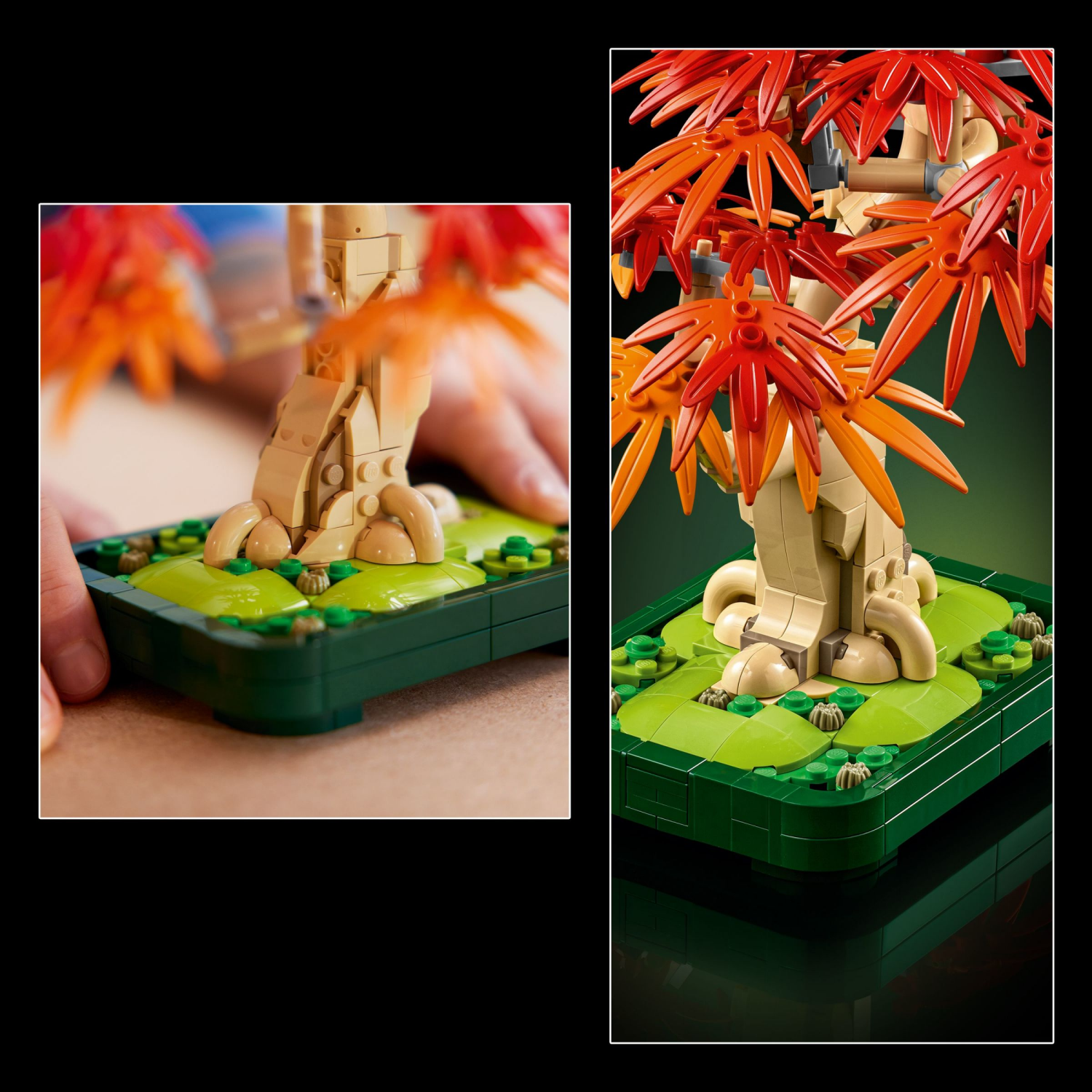 slide 5 of 6, LEGO Botanicals Japanese Red Maple Bonsai Tree 10348, 1 ct