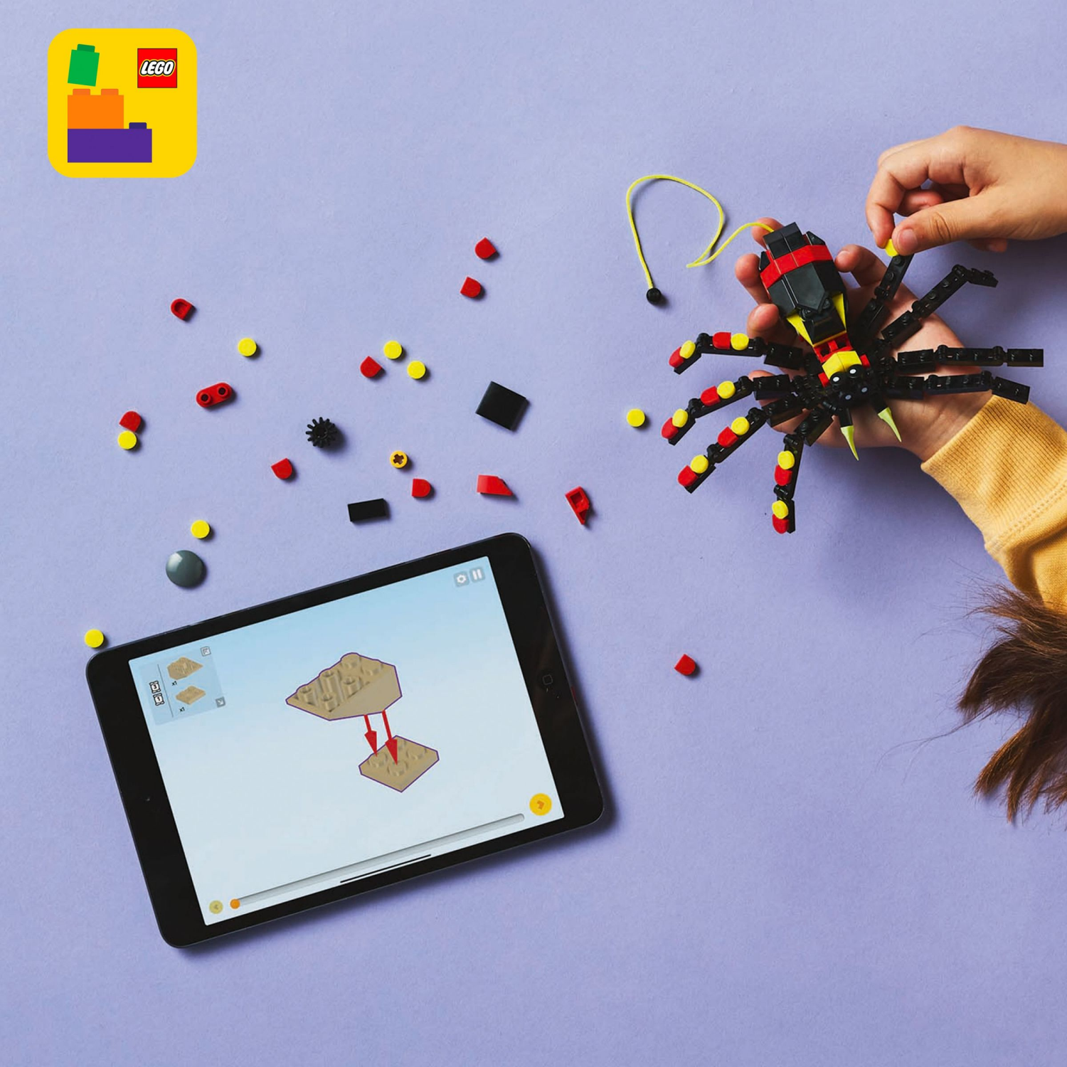 slide 6 of 6, LEGO Creator 3 in 1 Wild Animals Surprising Spider Building Toy 31159, 1 ct