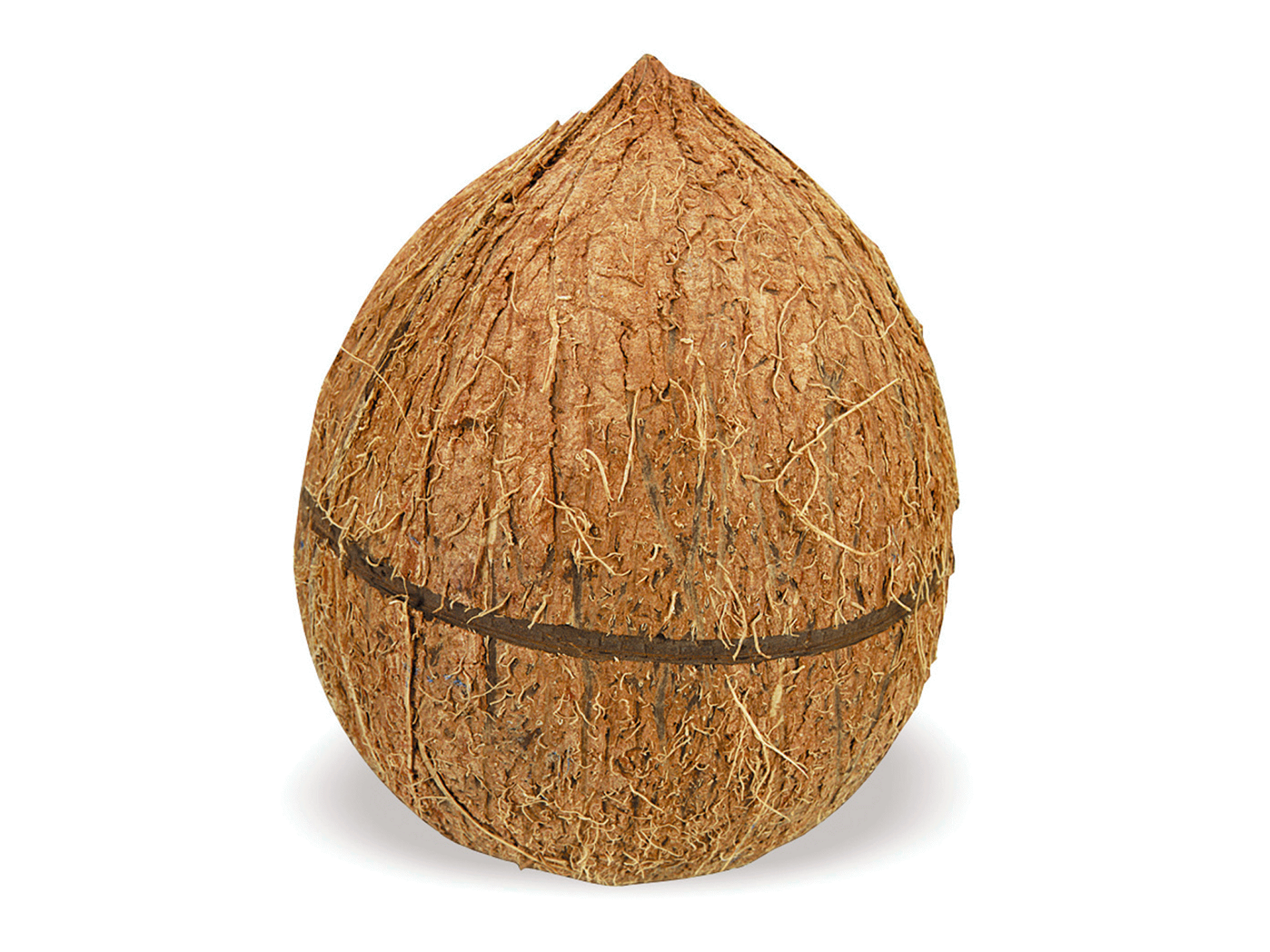 slide 1 of 1, Coconut, 1 ct