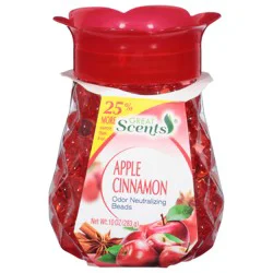 Great Scents Home Select Apple Cinnamon Air Freshn Pearl Bead