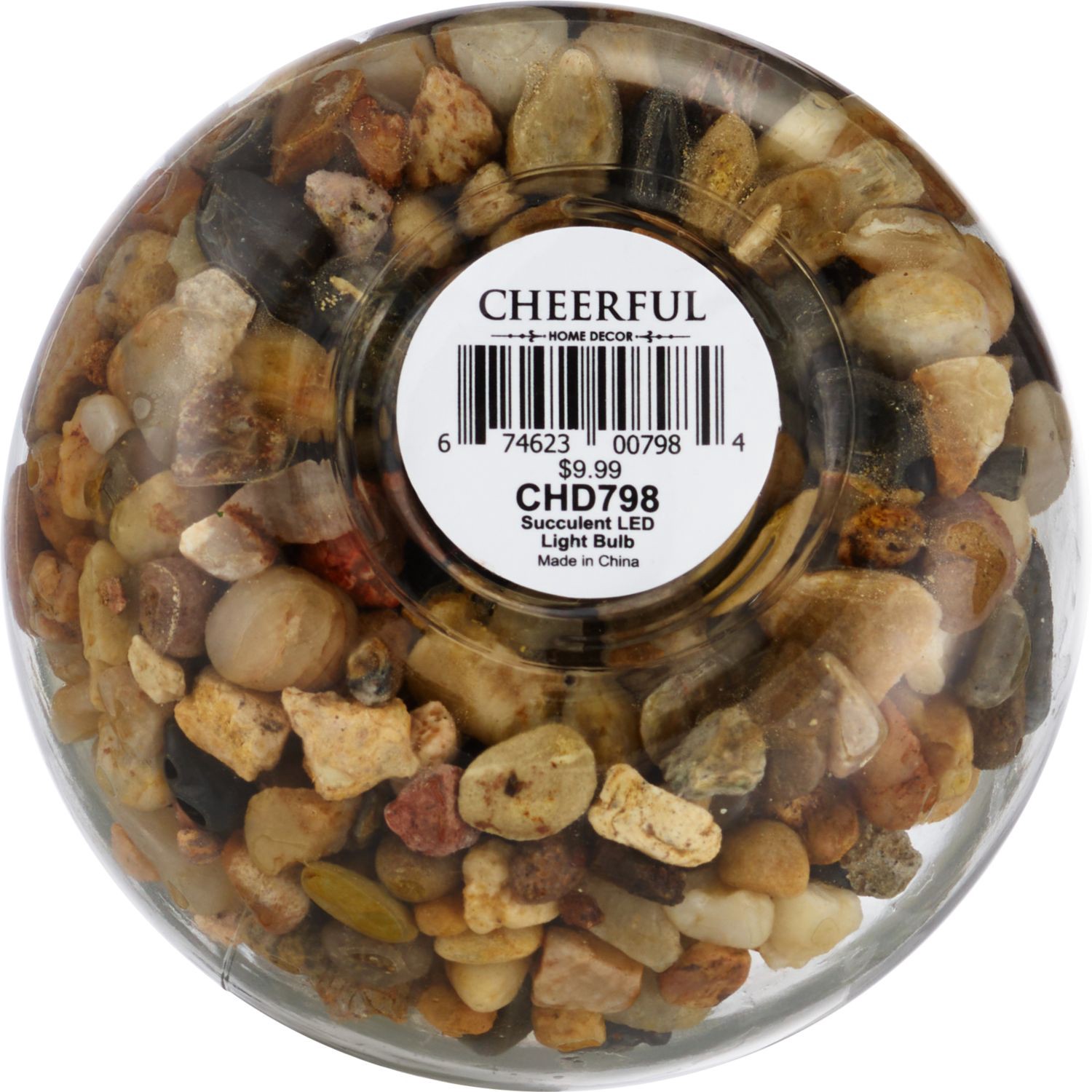 slide 2 of 4, PROCACCI BROTHERS Succulent Lite Bulb Led String Lite, 1 ct