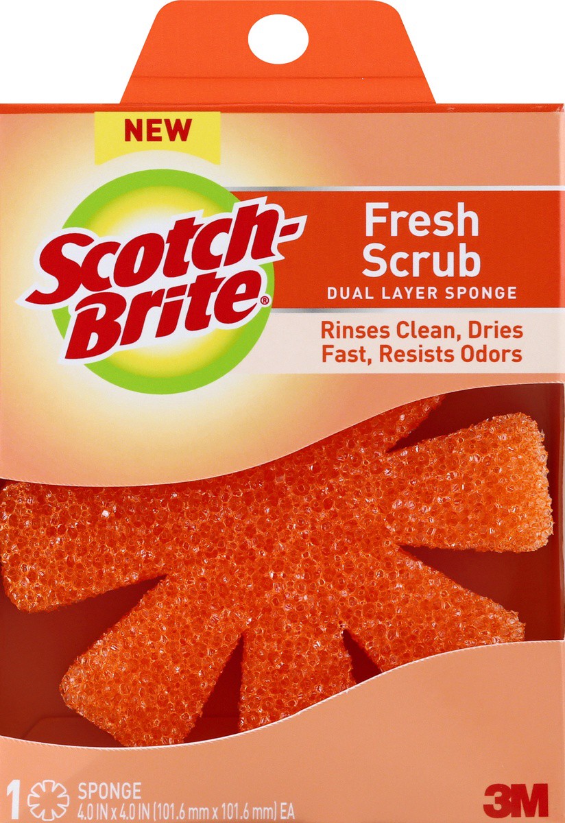 slide 6 of 9, Scotch-Brite Fresh Scrub Soft Sponge - Orange, 1 ct