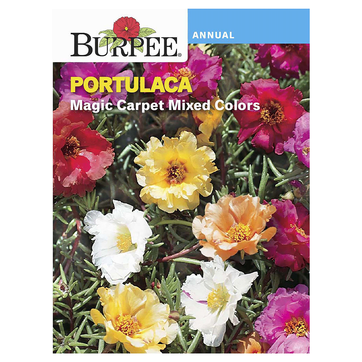 slide 1 of 5, Burpee Portulaca Magic Carpet Mix Seeds, 1 ct