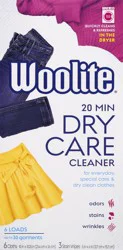Woolite 20 Min Dry Care Fresh Scent Cleaner 1 ea