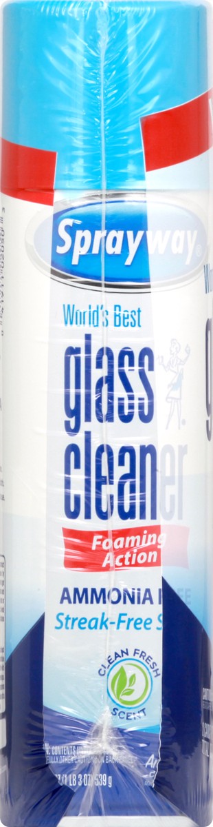 slide 5 of 8, Sprayway Glass Cleaner, 2 ct; 19 fl oz