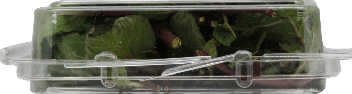 slide 4 of 6, Full Circle Mint, 0.67 oz