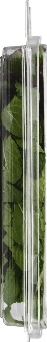 slide 3 of 6, Full Circle Mint, 0.67 oz