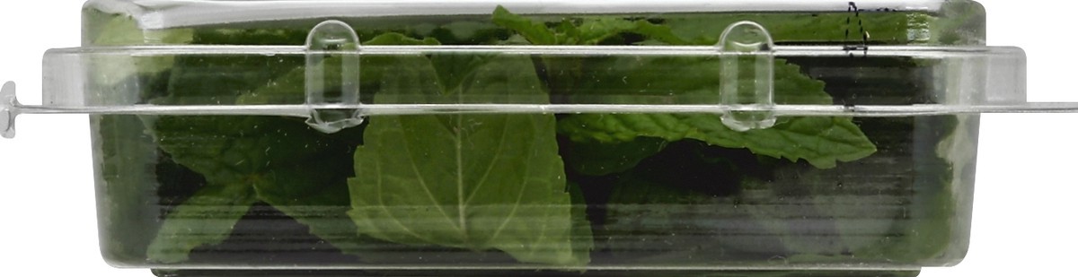 slide 6 of 6, Full Circle Mint, 0.67 oz