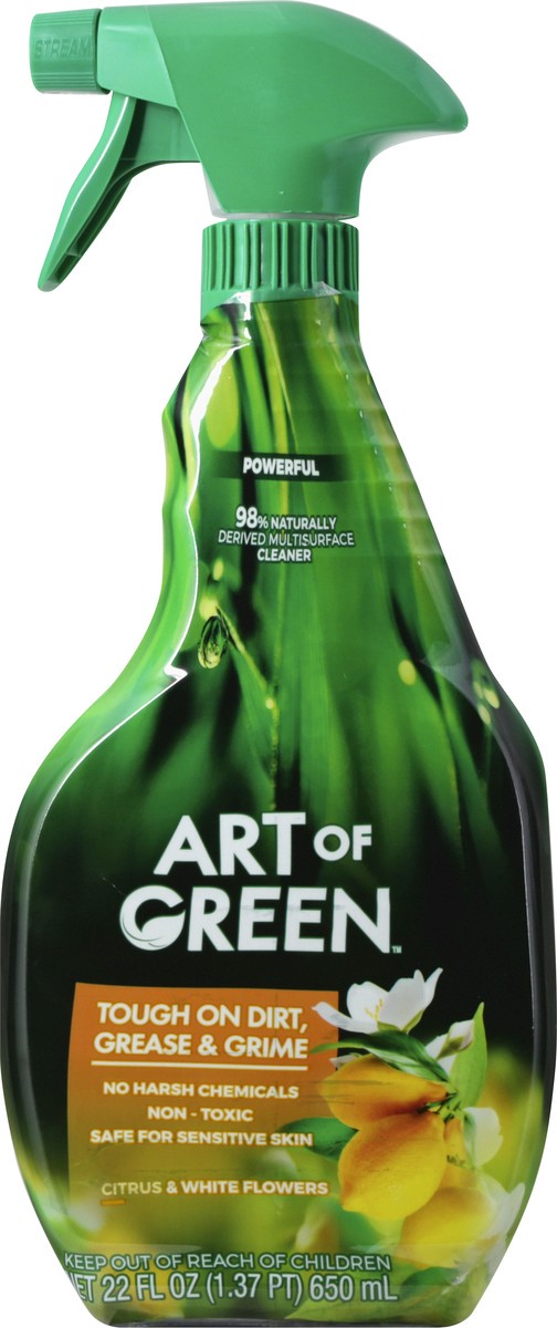 slide 7 of 12, Art Of Green Citrus All Purpose Cleaner, 22 fl oz