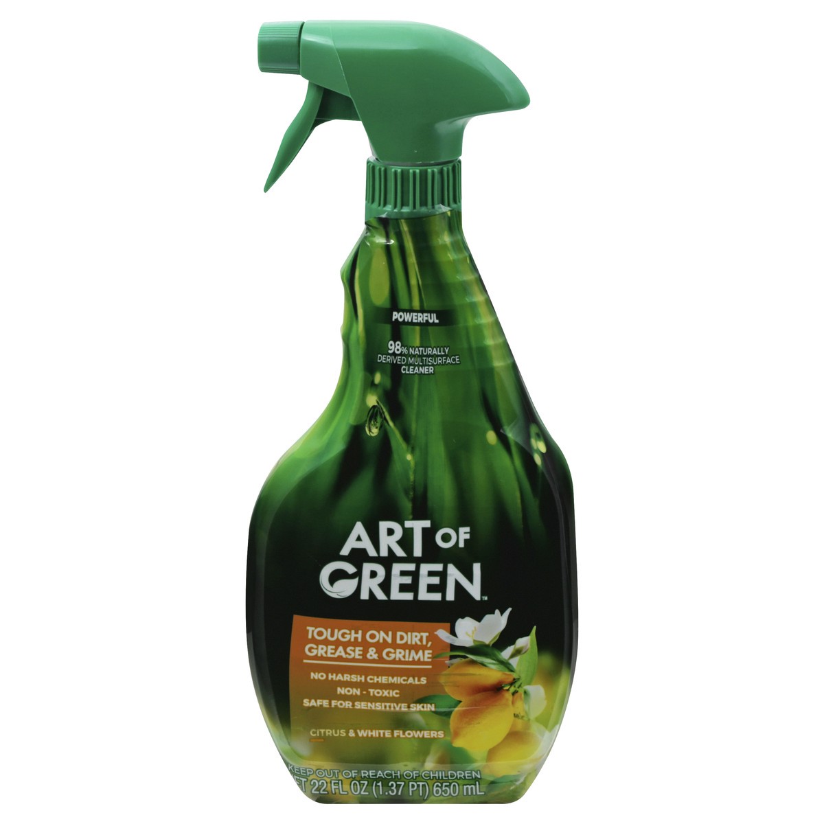 slide 9 of 12, Art Of Green Citrus All Purpose Cleaner, 22 fl oz