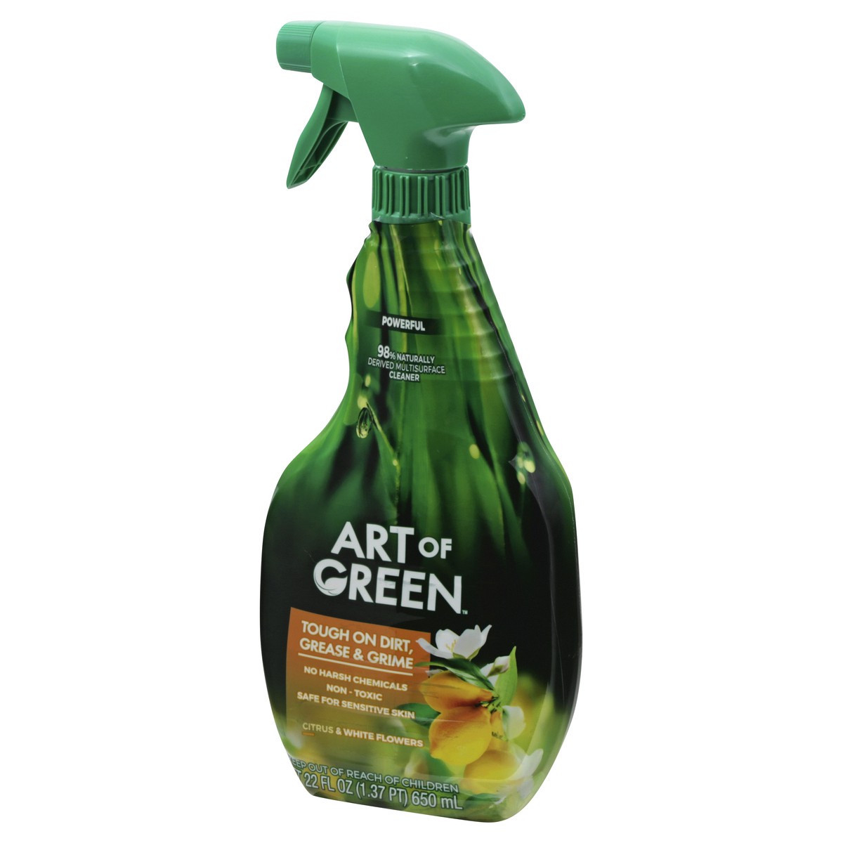 slide 10 of 12, Art Of Green Citrus All Purpose Cleaner, 22 fl oz