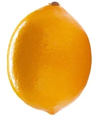 Bio Dynamic Meyer Lemons