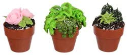 Flower Pot Cupcake