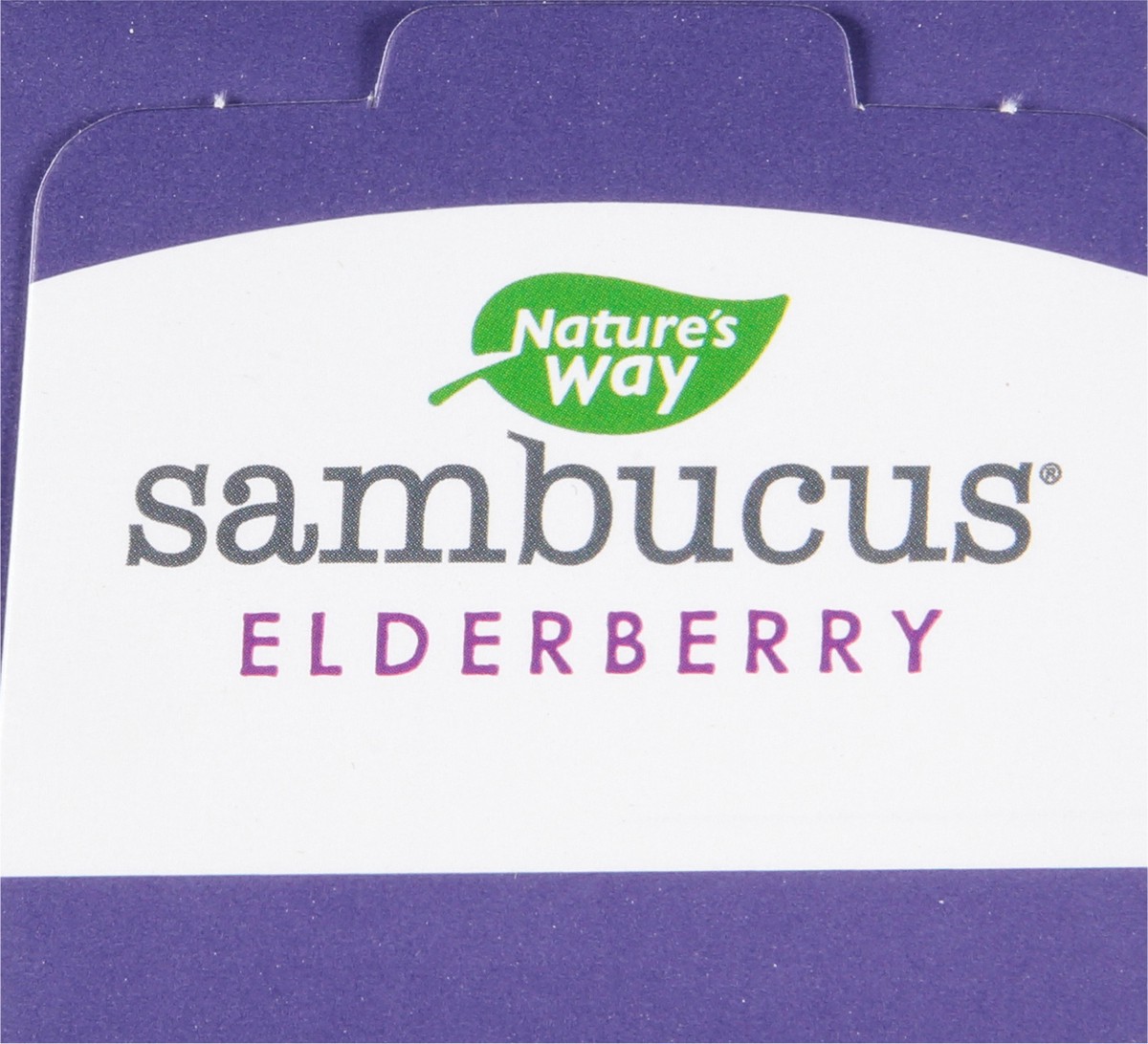 slide 2 of 9, Nature's Way Sambucus Zero Sugar Traditional Immune Syrup, 4 oz