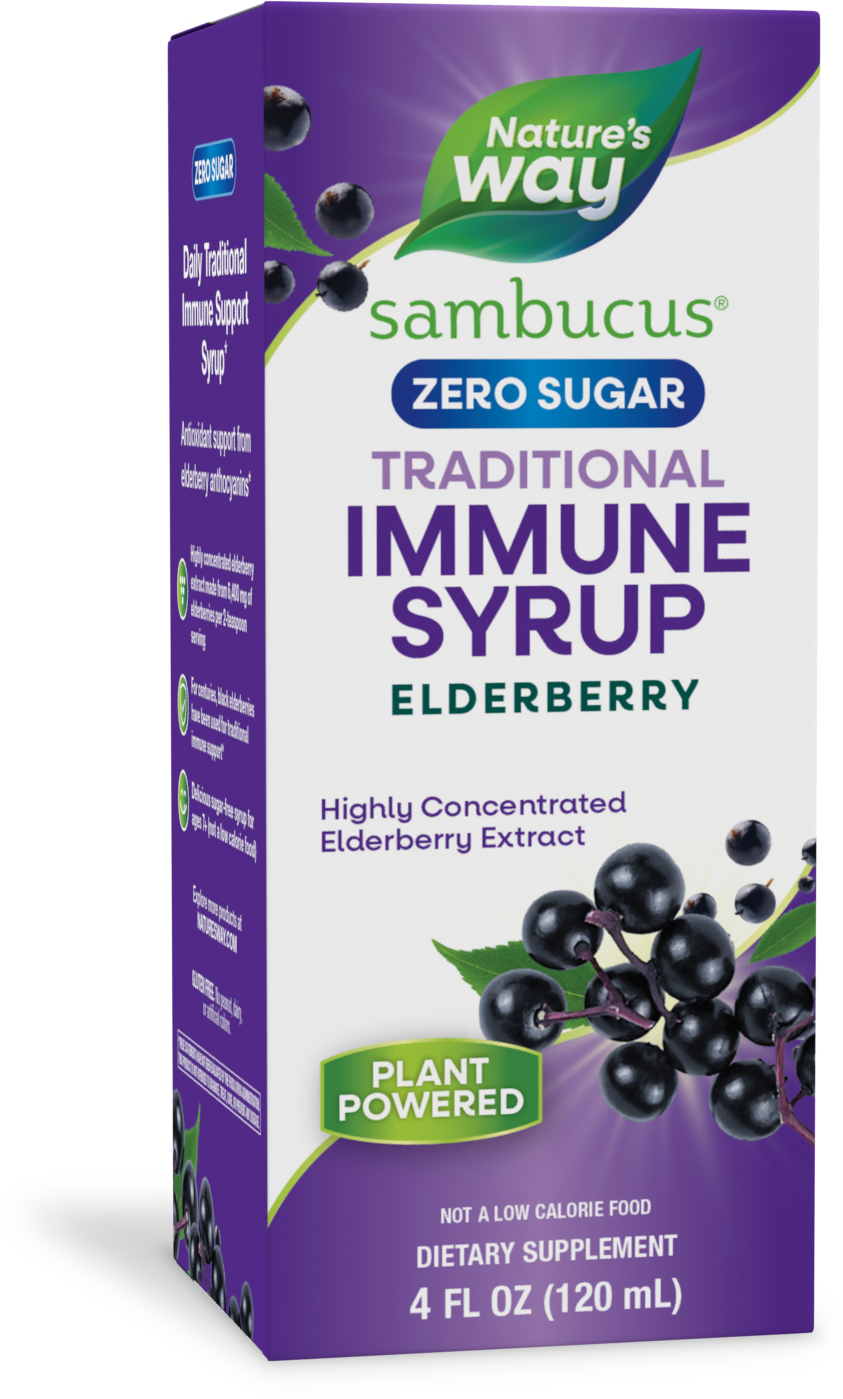 slide 1 of 9, Nature's Way Sambucus Zero Sugar Traditional Immune Syrup, 4 oz