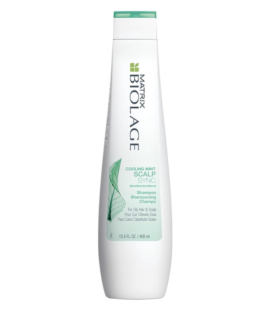 slide 1 of 1, Matrix Biolage Scalpsync, 13.5 oz