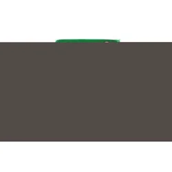 Signature Brand Organics Grape Tomatoes