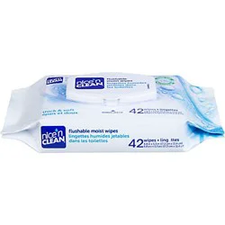 Nice 'n Clean Flushable Moist Wipes with Aloe & Vitamin E