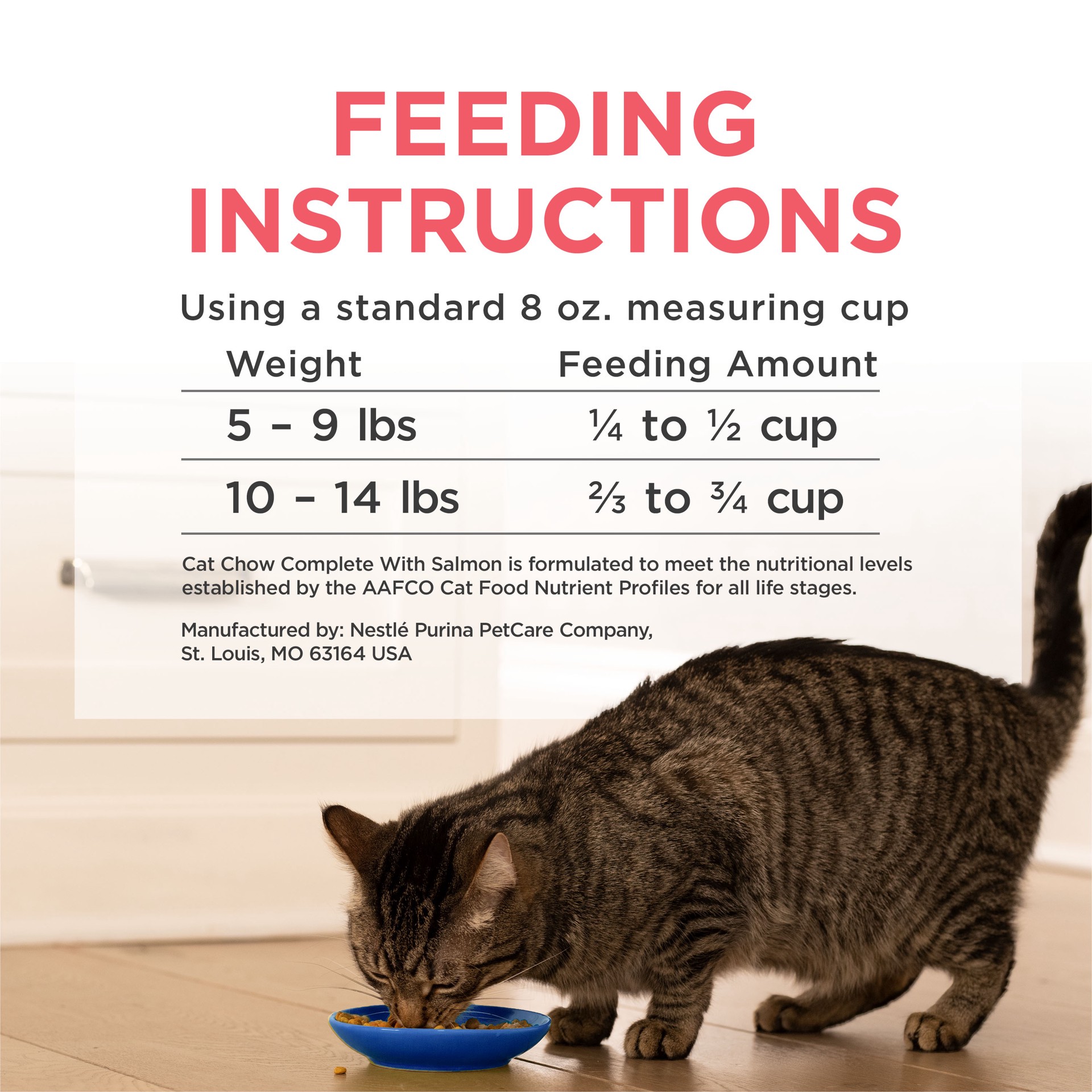 slide 5 of 8, Cat Chow Purina Cat Chow Complete High Protein Dry Cat Food With Real Salmon - 3.15 lb. Bag, 50.4 oz