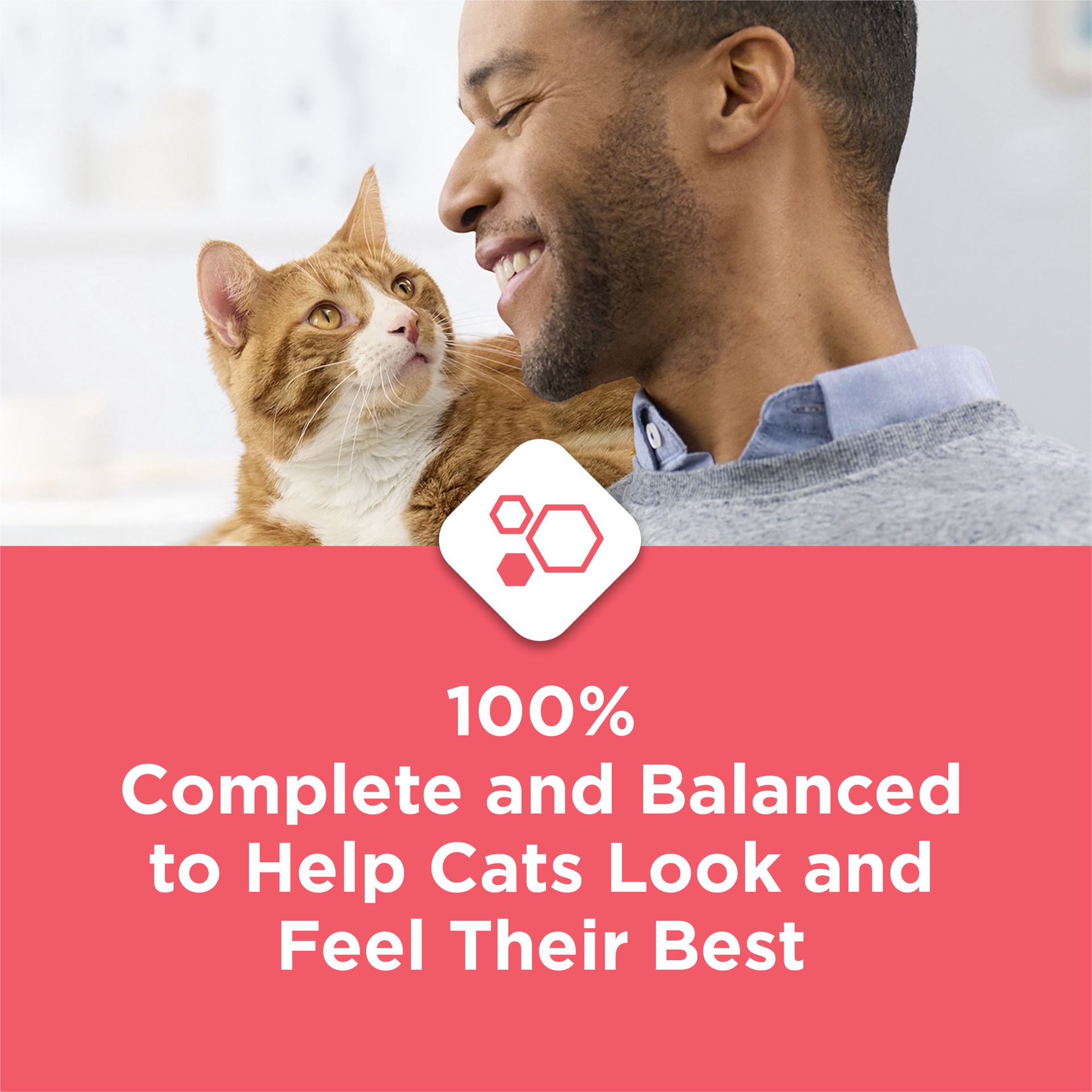 slide 3 of 8, Cat Chow Purina Cat Chow Complete High Protein Dry Cat Food With Real Salmon - 3.15 lb. Bag, 50.4 oz