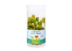 Venus Flytrap