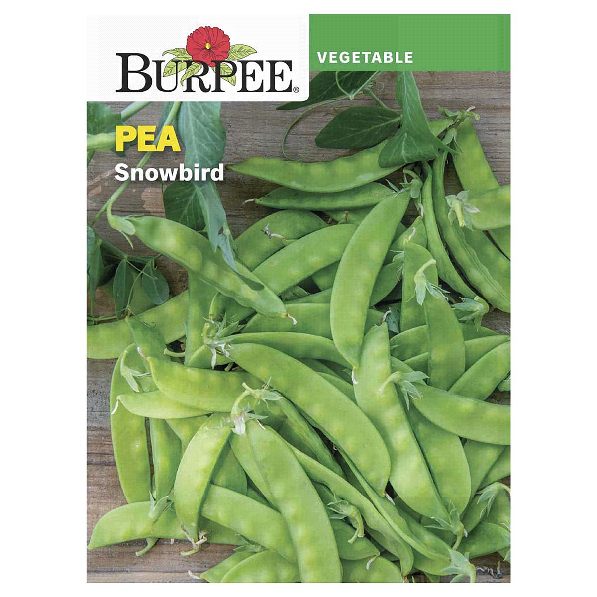 slide 1 of 5, Burpee Pea Snowbird Seeds, 1 ct