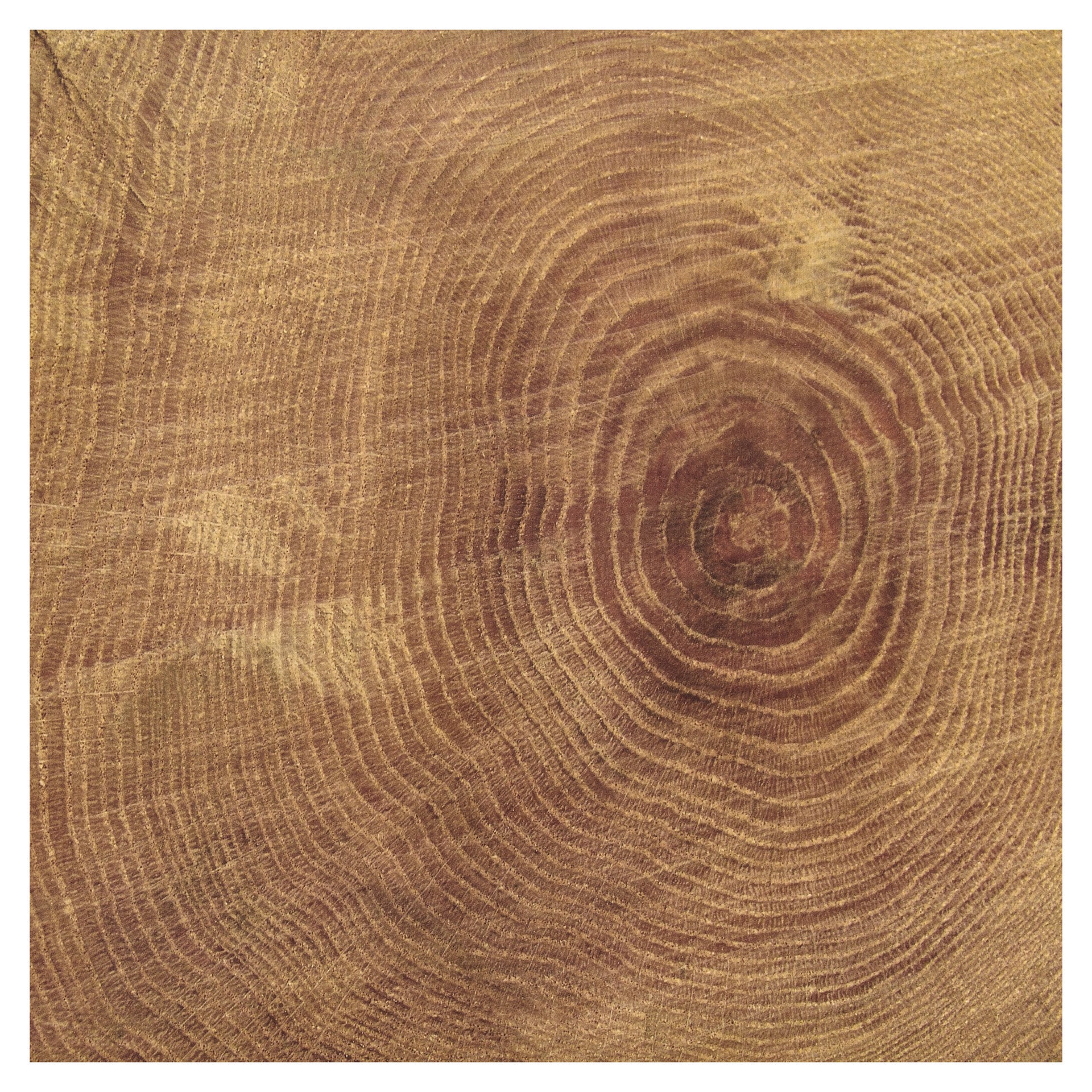 slide 2 of 4, Outdoors Double-Sided Cardstock Paper By Recollections, 12" X 12", 12 in x 12 in