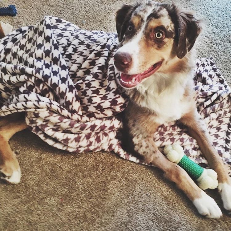 slide 2 of 4, Houndstooth Blanket, 40 in