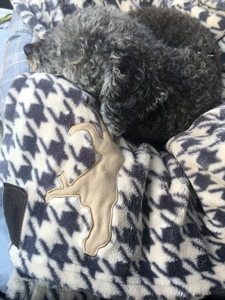 slide 4 of 4, Houndstooth Blanket, 40 in