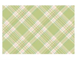 Hester & Cook Bright Green Plaid Placemats