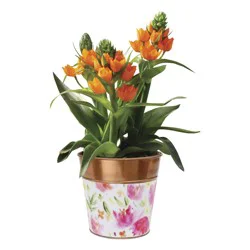 Sun Star Watercolor Flowers Copper Tin 4 1 Ea