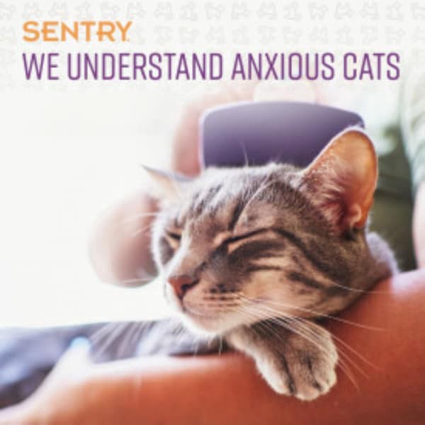 slide 14 of 21, Sentry Behavior Calming Cat Chew 4oz, 4 oz