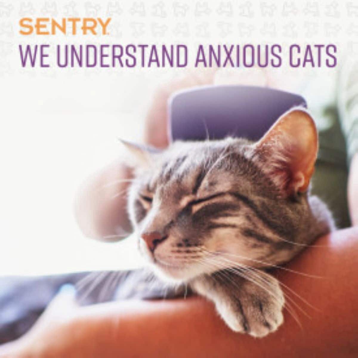 slide 20 of 21, Sentry Behavior Calming Cat Chew 4oz, 4 oz