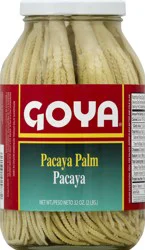 Goya Pacaya Palm (Date Palm)